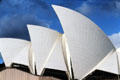 Sculptural white roof of Sydney Opera House. Sydney, Australia