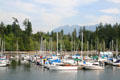 Boats docked at Stanley Park. Vancouver, BC.