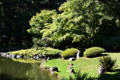 Botanical Garden at University of British Columbia. Vancouver, BC