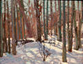 In the Woods oil study on board by Tom Thomson at National Gallery of Canada. Ottawa, ON.