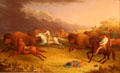 Métis Running Buffalo painting by Paul Kane at Royal Ontario Museum. Toronto, ON.