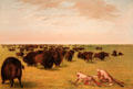 Buffalo Herd Grazing painting by George Catlin at Royal Ontario Museum. Toronto, ON.