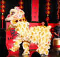 Chinese New Year celebrated with lion dance at Royal Ontario Museum. Toronto, ON.