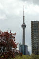 CN Tower seen from Art Gallery of Ontario district. Toronto, ON.