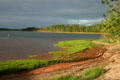 Typical PEI inlet where forest meets the sea. PE