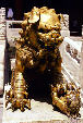 Gold lion from Beijing's Forbidden City. China.