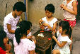 Children playing cards in a tea-growing village in Hangzhou. China.