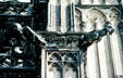 Gargoyles on Cologne Cathedral. Köln, Germany.