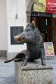 Bronze statue of sitting wild boar based antique style by Martin Mayer outside German Hunting & Fishing Museum. Munich, Germany.