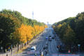 View of Brandenburg Gate & Berlin Marathon from Victory Column. Berlin, Germany.