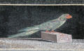Hellenistic mosaic with Alexandrine parakeet in altar chamber' of palace V at Pergamon Museum. Berlin, Germany