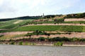 Vineyards on hillside with Niederwalddenkmal in far distance. Rüdesheim am Rhein, Germany.