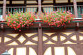 Flower boxes adorning half-timbered building. Bacharach, Germany.