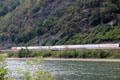Passenger train traveling along bank of Rhine River. St. Goar, Germany.