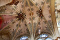 Painted flowers on vaulted ceiling of Liebfrauenkirche. Trier, Germany