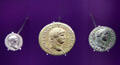 Roman coins with portraits of Caesars at Trier Archaeological Museum. Trier, Germany.