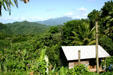 Landscape crossing central ridge of Dominica.