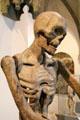 Skeletal detail of Death riding a lion sculpture from Kloster Heilsbronn at Bavarian National Museum. Munich, Germany