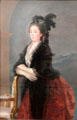 Doña Maria Teresa da Vallabriga portrait by Francisco de Goya at Neue Pinakothek. Munich, Germany.