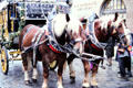 Horse carriage rides at Christmas Market on City Hall square. Nuremberg, Germany.