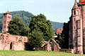 Ruins of Hirsau Abbey, once one of the most important Benedictine Abbeys in Germany. Hirsau, Germany.