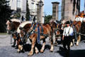 Draft horses in fancy tack driven by men in traditional dress participating in town pageant. Ansbach, Germany