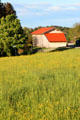 Golden field with farm building in background in Chiemsee region. Chiemsee, Germany.