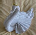 Bath towel folded into shape of swan. Füssen, Germany.