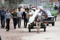 Donkey cart moves in traffic in Giza. Egypt.