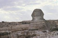 The Sphinx stands 20m high & 73.5m paw to tail perhaps with the head of Chephren. Giza, Egypt.