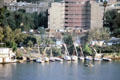 Traditional Felucca sailboats on Nile at Cairo. Egypt.