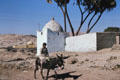 Donkey rider in village near Thebes. Egypt