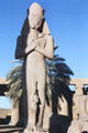 Statue of Pharaoh Ramses II with diminutive wife at Temple of Karnak. Egypt.