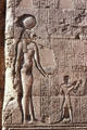 Menheyet the lion-headed goddess & hieroglyphs in Temple of Khnum in Esna. Egypt.