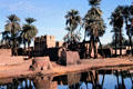 Mud walled buildings amid palms on the road between Luxor & Aswan. Egypt.
