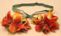 Jibaro culture hair ornament with parrot feathers from Peruvian Amazon at Museum of America. Madrid, Spain.