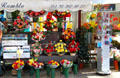 La Rambla flower market. Barcelona, Spain.