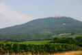 Castle of Haut Koenigsbourg sits on hill over vineyards of Alsace. France.