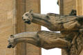 Gargoyles on Cathedral of St. Etienne. Metz, France.