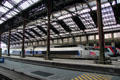 High speed TGV train at Gare de Lyon. Paris, France.