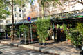 Cité Flower Market stalls. Paris, France.