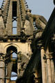 Long-beaked bird gargoyle on Cathedral. Reims, France.