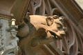 Gargoyle on Cathedral. Strasbourg, France.