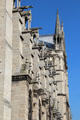 South facade of Notre Dame Cathedral with projecting gargoyles. Paris, France.