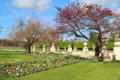 Tulip beds & flowering trees beside sculpture plaza in Tuileries Garden. Paris, France.
