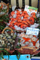 Shrimp, sea snails & scallop options in fish shop. Paris, France.