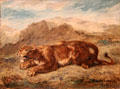 Lioness preparing to leap painting by Eugène Delacroix at Eugene Delacroix Museum. Paris, France.