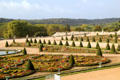 Formal flower garden at Versailles Palace. Versailles, France.