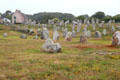 Lines of menhirs with dwelling in background. Carnac, France.