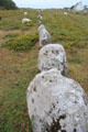 Long alignment of menhirs. Carnac, France.